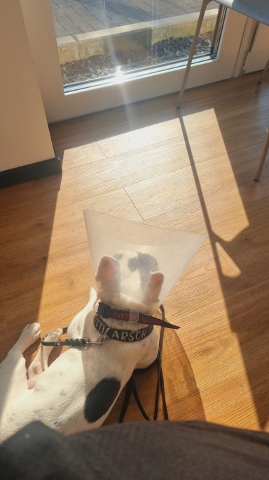 Kooperationsübungen für Pflege & Behandlung. 